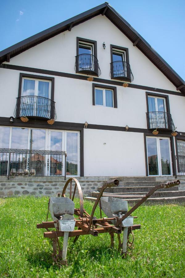 Casa Nevada Hotel Curtea de Argeş Eksteriør billede